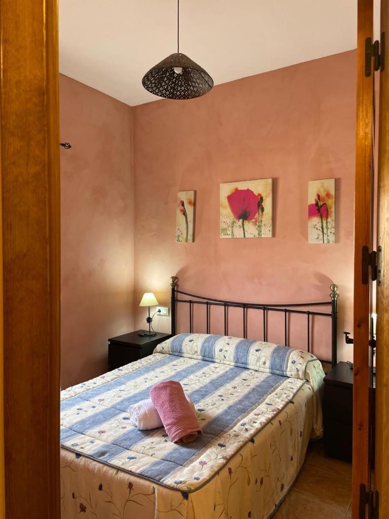 אלצ'ה דה לה סיירה Casa Rural Puente Del Segura מראה חיצוני תמונה