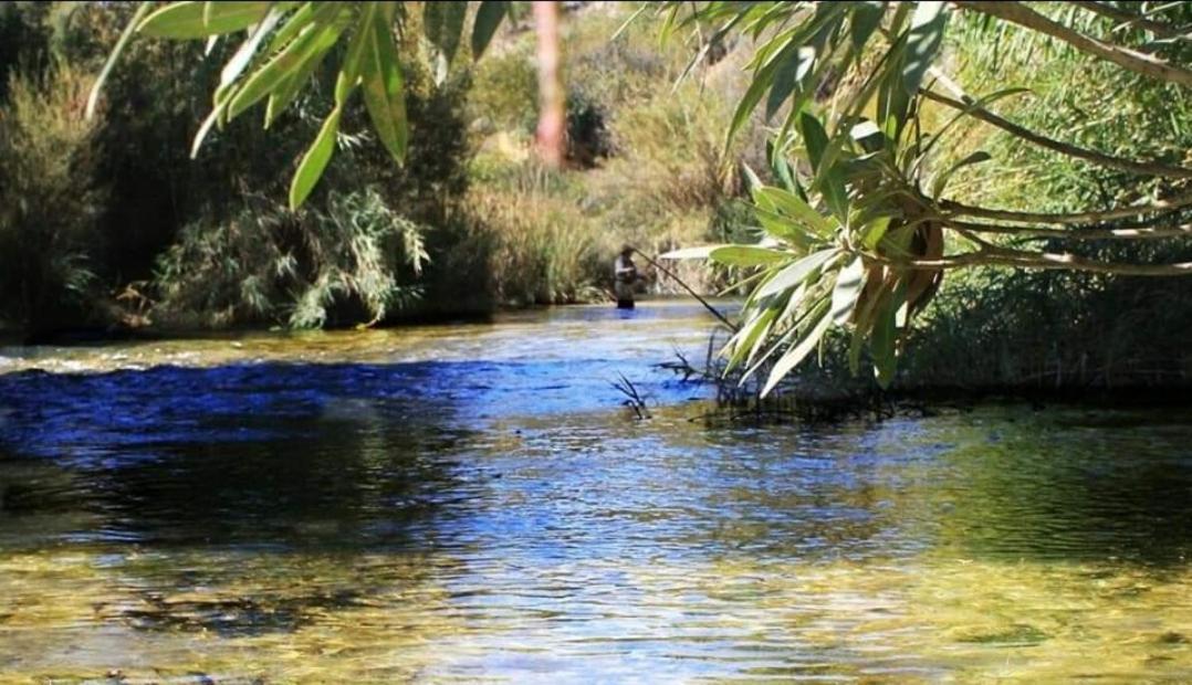 אלצ'ה דה לה סיירה Casa Rural Puente Del Segura מראה חיצוני תמונה