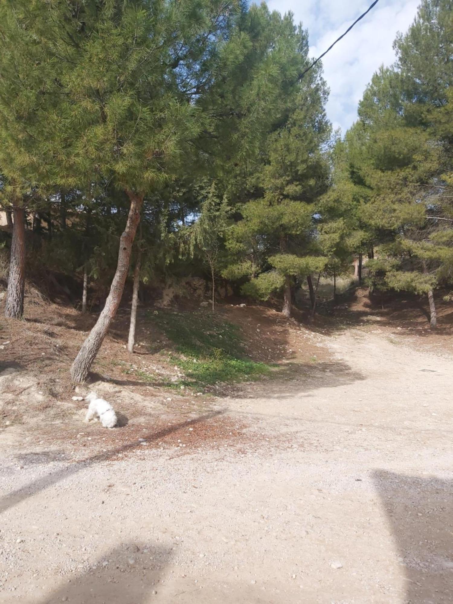 אלצ'ה דה לה סיירה Casa Rural Puente Del Segura מראה חיצוני תמונה