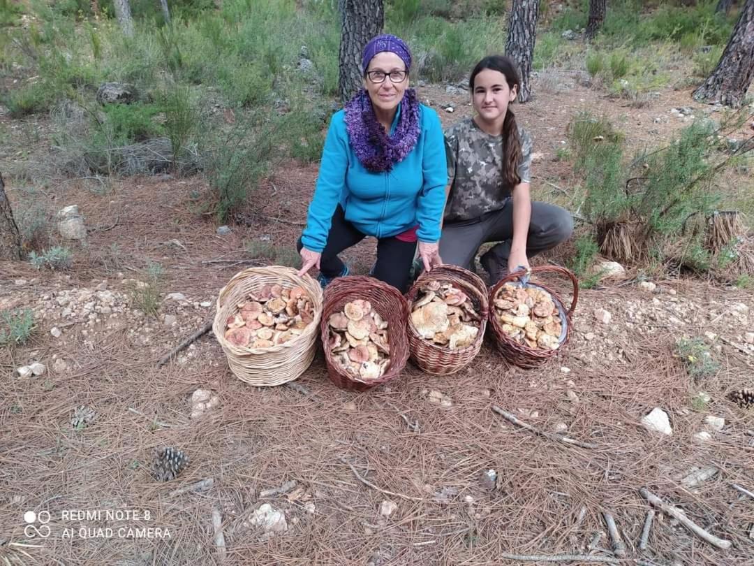 אלצ'ה דה לה סיירה Casa Rural Puente Del Segura מראה חיצוני תמונה